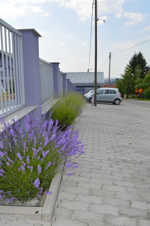 Pansion Antonio Bed and Breakfast Slavonski Brod Buitenkant foto